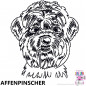 Preview: Impfausweishülle mit Affenpinscher