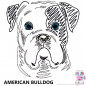 Preview: Impfausweishülle mit American Bulldog