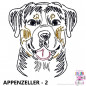 Preview: Impfausweishülle mit Appenzeller