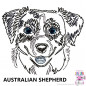 Preview: Impfausweishülle mit Australian Shepherd