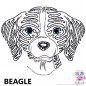 Preview: Impfausweishülle mit Beagle