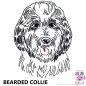 Preview: Impfausweishülle mit Bearded Collie