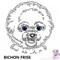 Preview: Impfausweishülle mit Bichon Frise