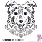 Preview: Impfausweishülle mit Border Collie