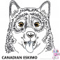 Preview: Impfausweishülle mit Canadian Eskimo