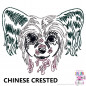 Preview: Impfausweishülle mit Chinese Crested