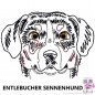 Preview: Impfausweishülle mit Entlebucher Sennenhund