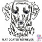 Preview: Impfausweishülle mit Flat Coated Retriever