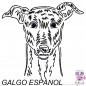 Preview: Impfausweishülle mit Galgo Espanol