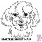 Preview: Impfausweishülle mit Maltese Short Hair