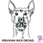 Preview: Impfausweishülle mit Peruvian Inca Orchid