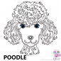 Preview: Impfausweishülle mit Poodle