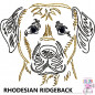 Preview: Impfausweishülle mit Rhodesian Ridgeback