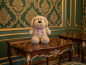 Preview: Stofftier Hund mit Name und Geburtsdaten auf dem Bauch bestickt