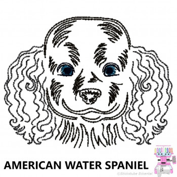Impfausweishülle mit American Water Spaniel