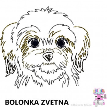 Impfausweishülle mit Bolonka Zvetna