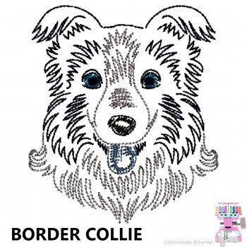 Impfausweishülle mit Border Collie