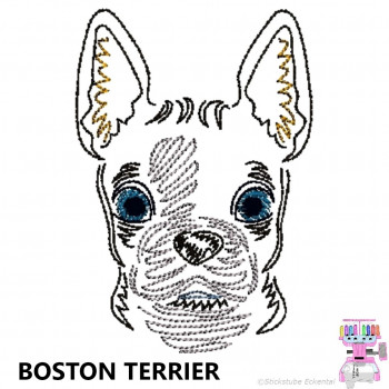 Impfausweishülle mit Boston Terrier