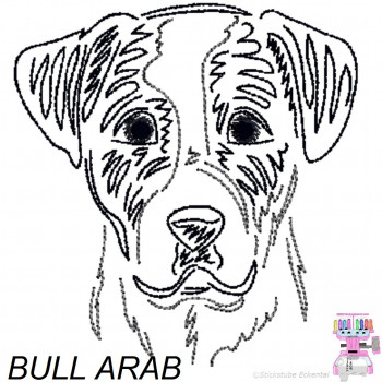Impfausweishülle mit Bull Arab