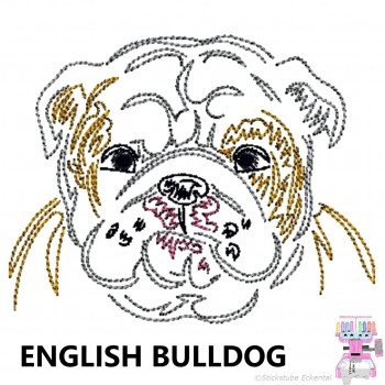 Impfausweishülle mit English Bulldog