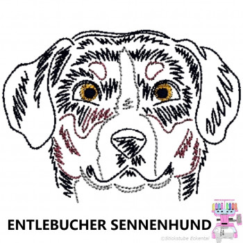 Impfausweishülle mit Entlebucher Sennenhund