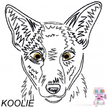 Impfausweishüllen mit Koolie