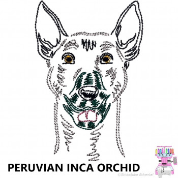 Impfausweishülle mit Peruvian Inca Orchid