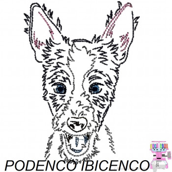 Impfausweishülle mit Podenco Ibicenco