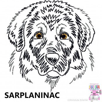 Impfausweishülle mit Sarplaninac