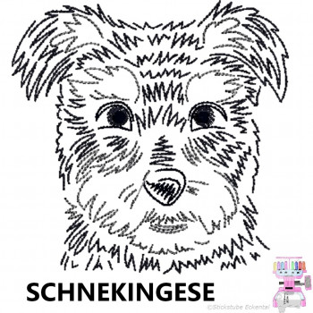 Impfausweishülle mit Schnekingese