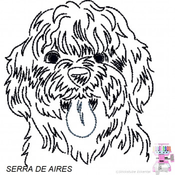 Impfausweishülle mit Serra de Aires