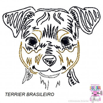Impfausweishülle mit Terrier Brasileiro
