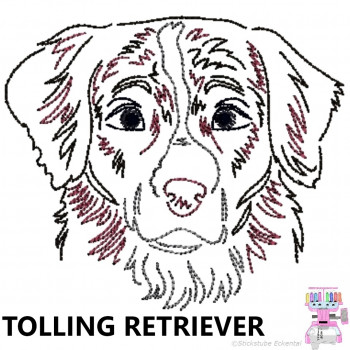 Impfausweishülle mit Tolling Retriever