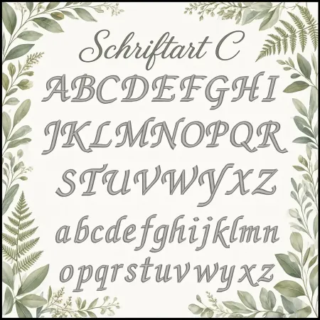 Schriftart C